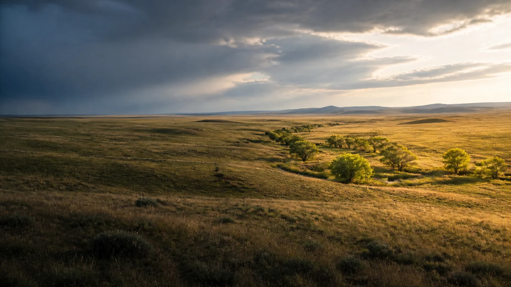 Open western grassland under a clearing summer sky